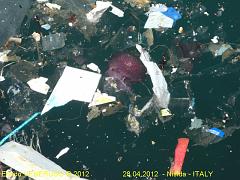 6 - Il mare ferito - The wounded sea